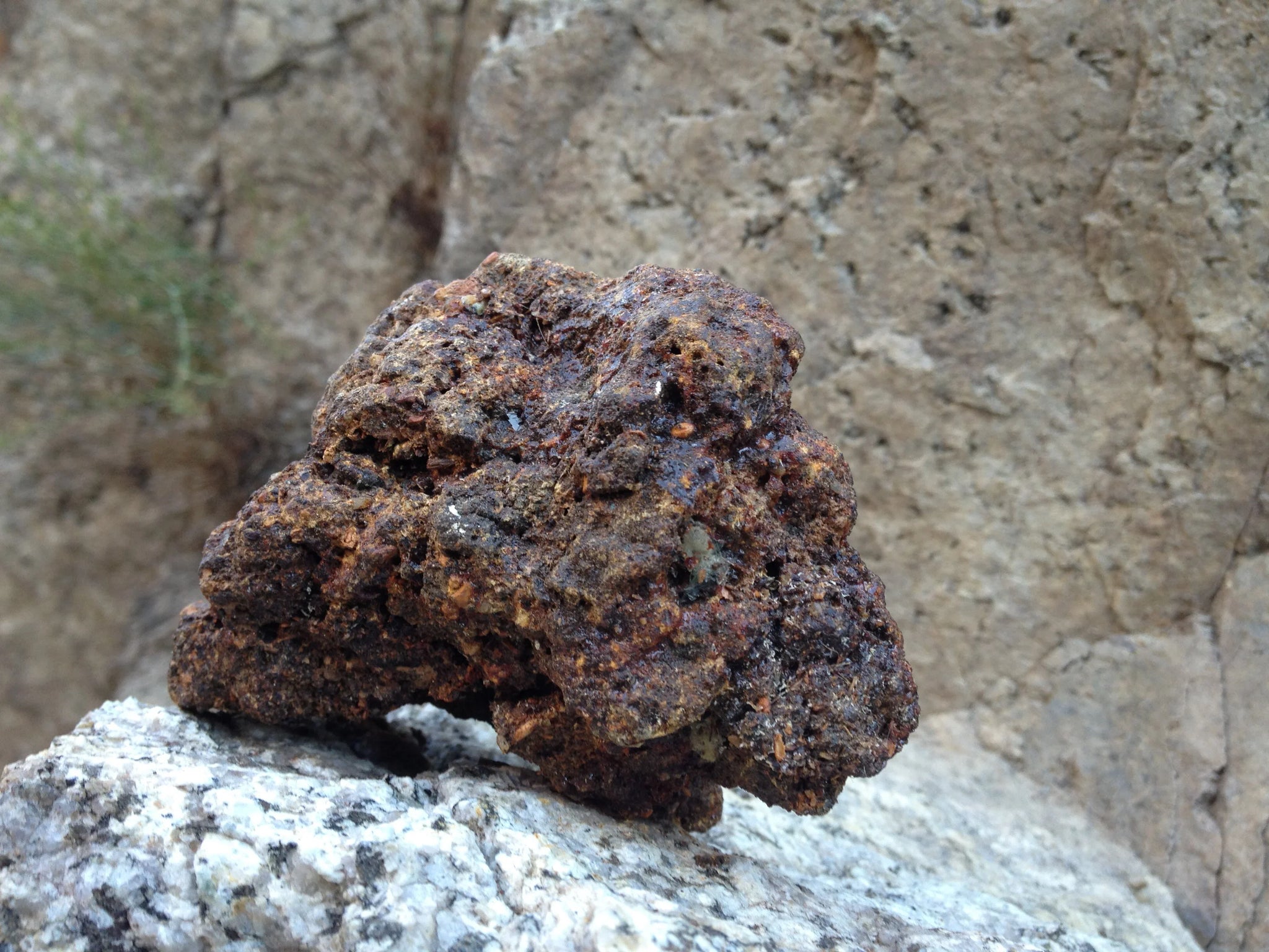 What the research suggests about shilajit