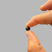 Shilajit | 400mg tablets